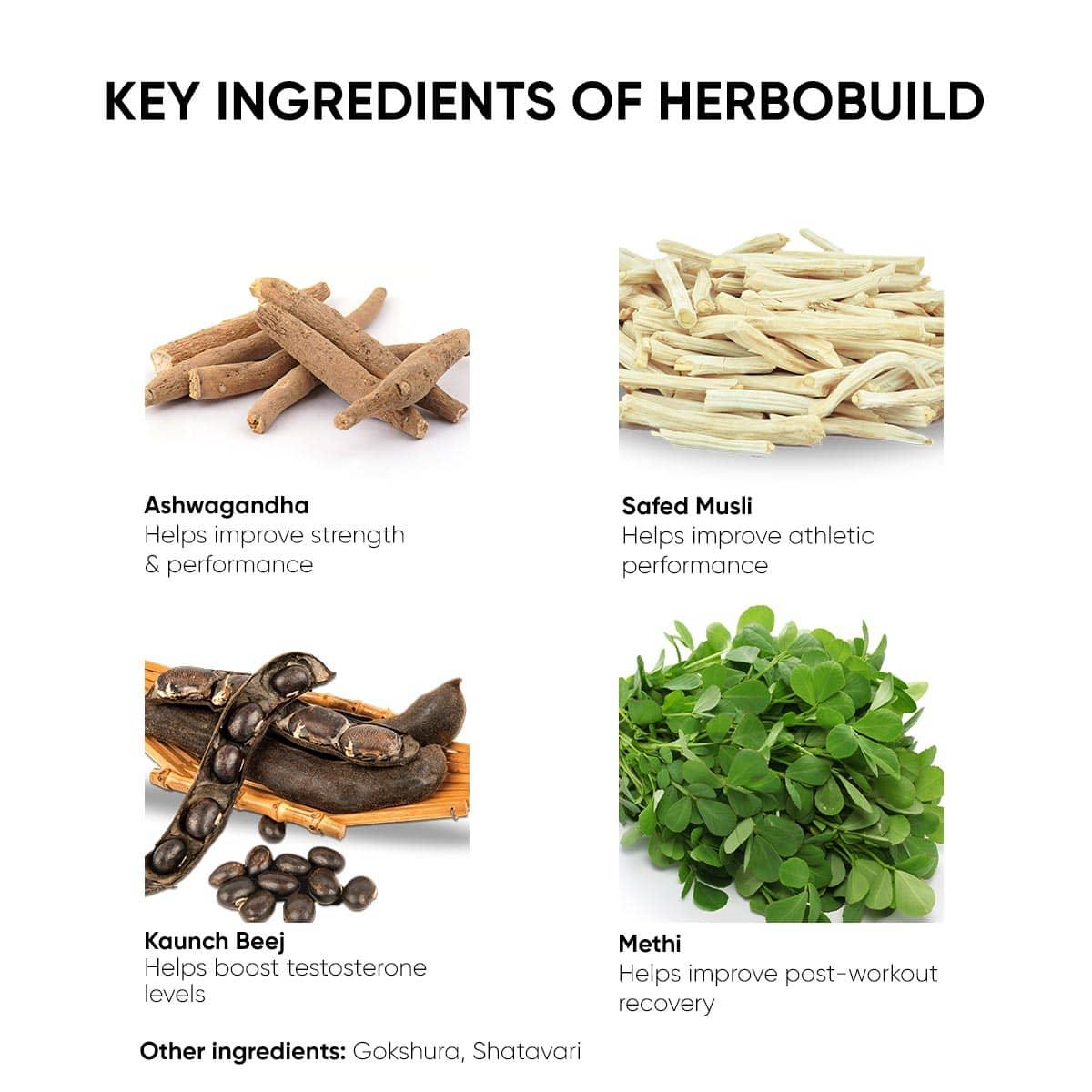 Dr. Vaidya's HerboBuild - 50 Capsules - Herbobuild